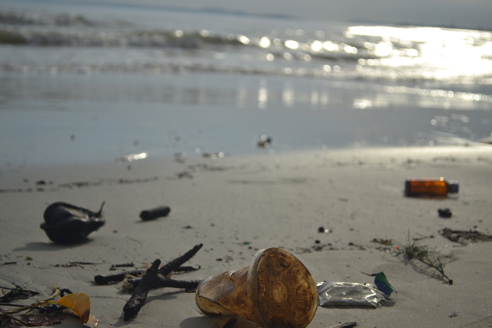 Resultado de imagen de restos de basura en la playa